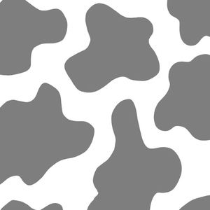 Meet your Posher, Annika